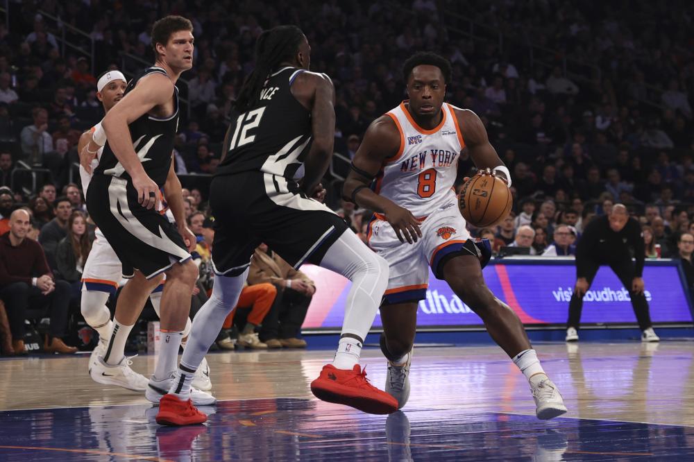 建立完善的 建立完善的